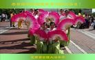 Published on 5/14/2010 ֹ,󷨵ӹʦ𻪵5.13編ִ - ִ - minghui.org